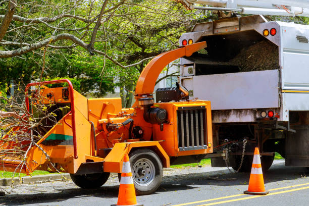 Best Leaf Removal  in Fairfield University, CT